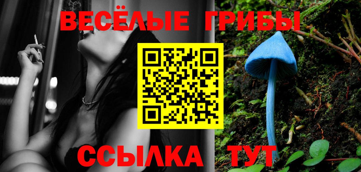 Псилоцибиновые грибы Magic Shrooms Мончегорск