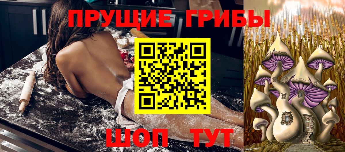 Псилоцибиновые грибы Magic Shrooms  Вход с VPN  Мончегорск 